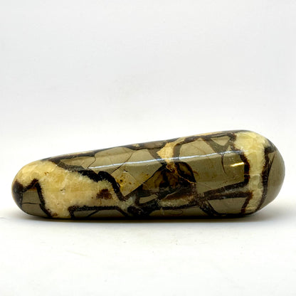 Septarie healerstav 14 cm