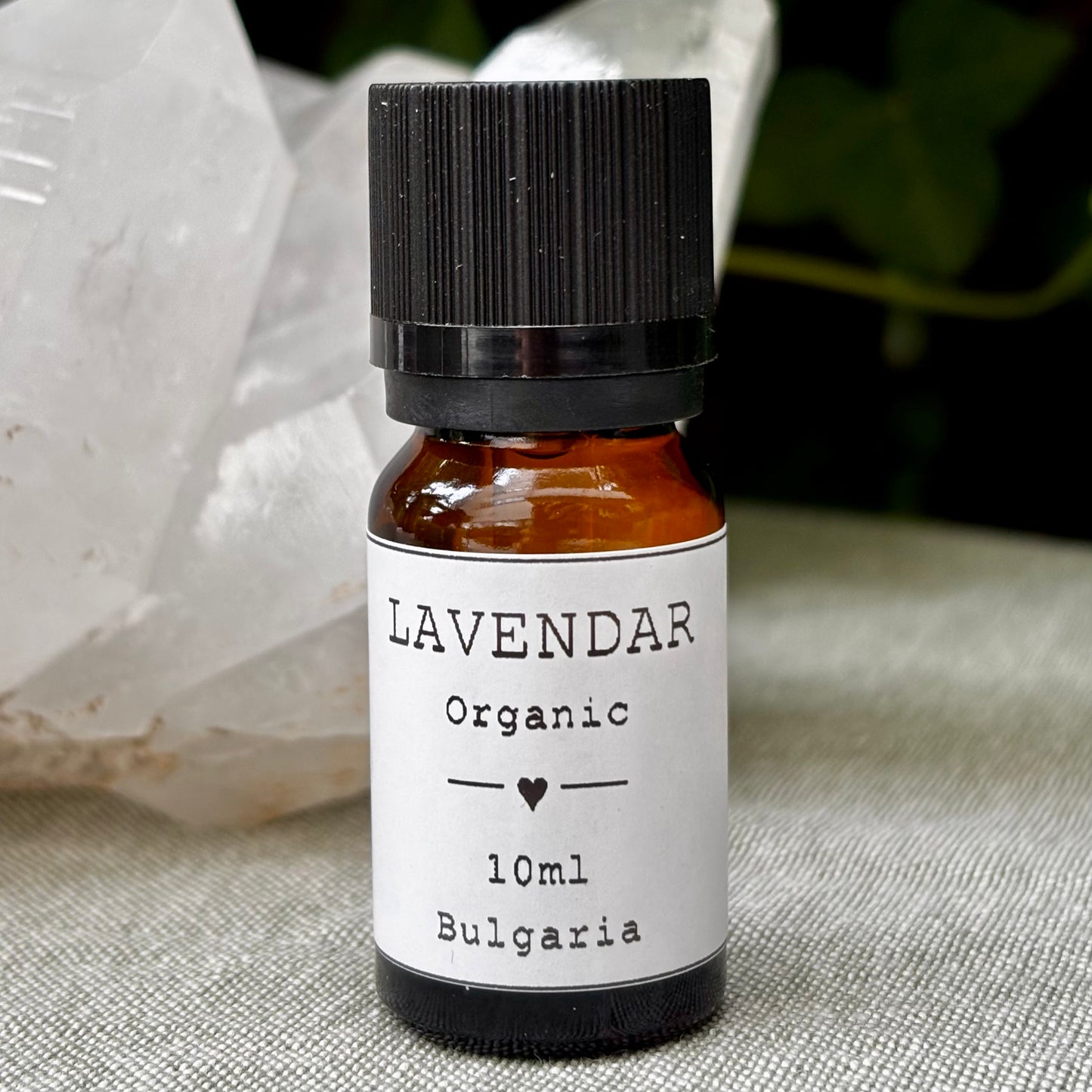 Lavendel Æterisk Olie | økologisk | 10 ml Lavendel Æterisk Olie | økologisk | 10 ml