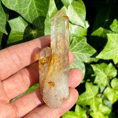 Bjergkrystal spids, ultra klar, og gylden 9,5 cm