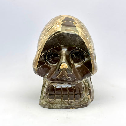 Sjældent Ammonit kranie  10 cm