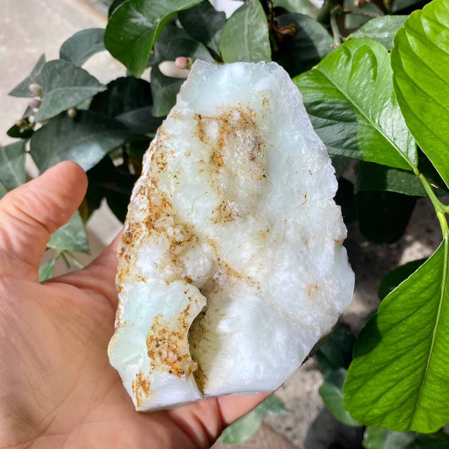 Cacholong naturlig 15 cm Cacholong naturlig 15 cm