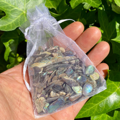 Paua skaller 100 gram
