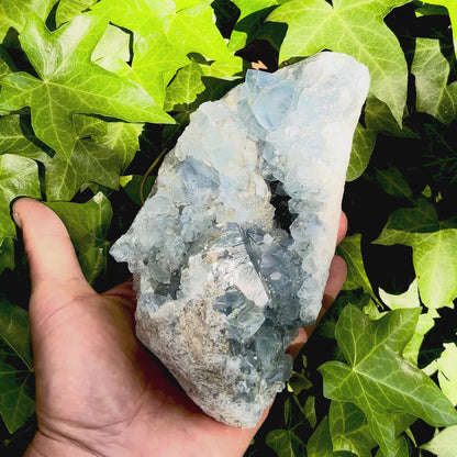 Celestit geodebrud - 19 cm